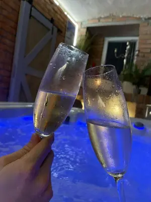 a person holding up two glasses of water at Apartmány U kapličky in Kamýk nad Vltavou