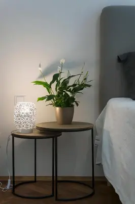 a table with a potted plant on it next to a bed at Kent Ridge Loft (Lublanska) in Prague