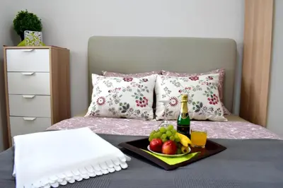 a tray of fruit and a bottle of wine on a bed at Prague city centre apartment Radka1 in Prague