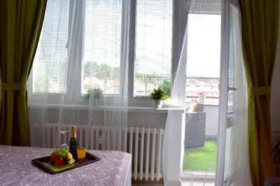 a tray of fruit on a table in front of a window at Prague city centre apartment Radka1 in Prague