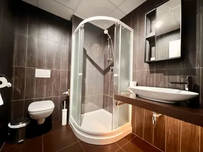 a bathroom with a shower and a toilet and a sink at Balu Apartments in Prague