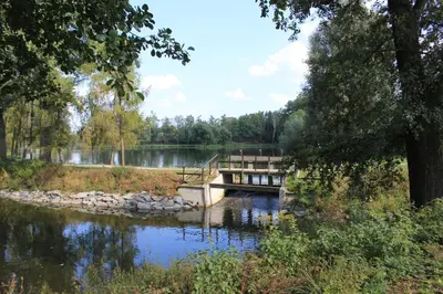 a bridge over a lake with trees and water at Apartments Severka in Prague