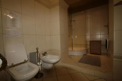 a bathroom with a toilet and a shower at Apartment No 0A Anenska 13 - Stare Mesto in Prague
