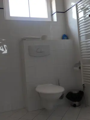 a white bathroom with a toilet and a window at Penzion Oáza in Štětí