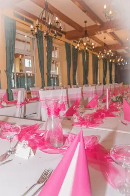 a table with pink napkins and pink napkinsktop at Penzion Oáza in Štětí