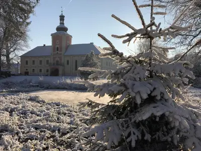 a snow covered tree in front of a building at Penzion Zámek Lešany in Netvořice
