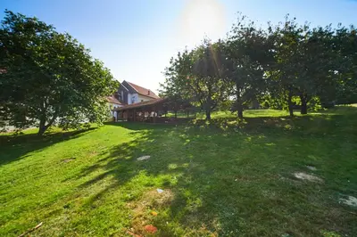 a large yard with trees and a house at Penzion Zámek Lešany in Netvořice