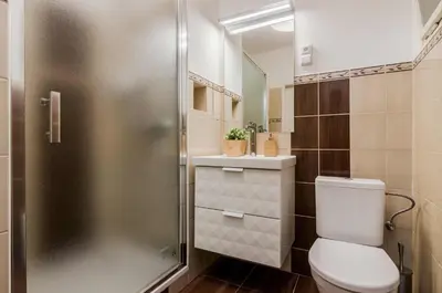 a bathroom with a shower and a toilet and a sink at APT in Prague Charles Bridge 1km by Michal&Friends in Prague