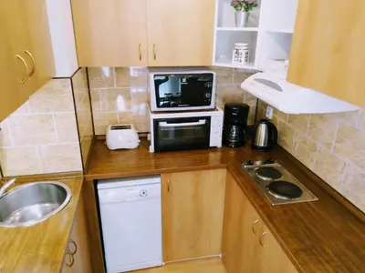 a small kitchen with a sink and a microwave at Apartment Archa Poděbrady in Poděbrady