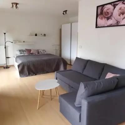 Apartment Archa Poděbrady