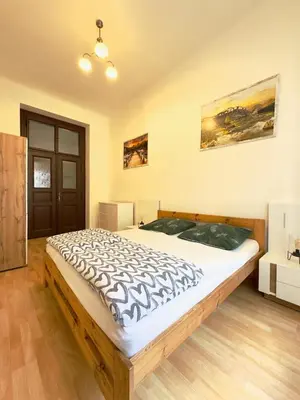 a bedroom with a large bed in a room at Spacious cozy apartments in centre in Prague