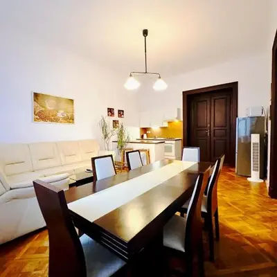 Spacious cozy apartments in centre