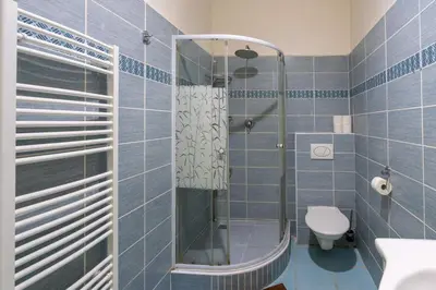 a blue tiled bathroom with a shower and a toilet at Downtown Apartments in Prague