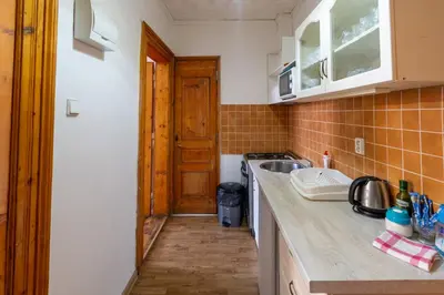a kitchen with a sink and a counter top at Downtown Apartments in Prague