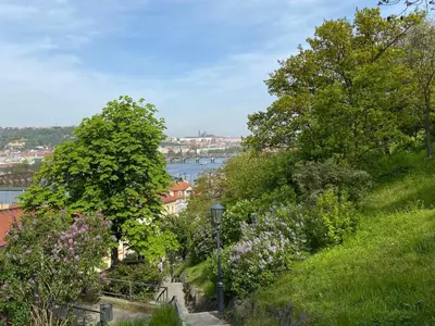 a view of a river from a hill with trees and flowers at Holiday Home Sunset Terrace by Interhome in Prague