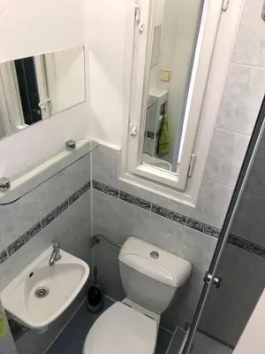 a bathroom with a toilet and a sink and a mirror at Cosy Flora Nest in Prague