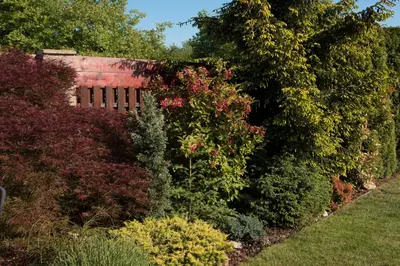 a garden with bushes and trees and a brick wall at Garden studio apt-FREE parking,close D8,metro,EXPO in Hovorčovice