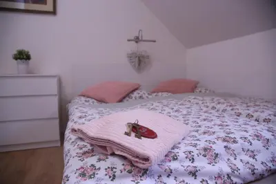 a bed with a pink blanket and a ladybug on it at Restaurace a pension Chalupa in Vorder Třebau