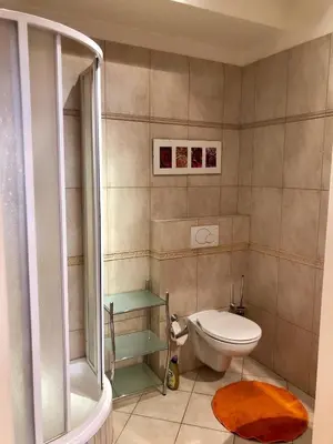 a small bathroom with a toilet and a shower at Platnéřská ,7 in Prague