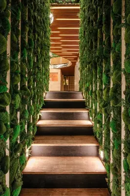 a stairway covered in green ivy in a building at Wellness Rooms Central in Prague