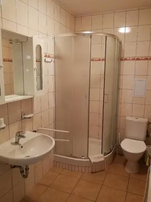 a bathroom with a shower and a sink and a toilet at Apartments U Švejků in Prague