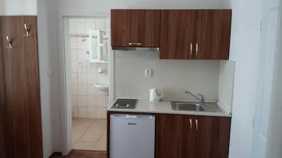 a small kitchen with wooden cabinets and a sink at Apartments U Švejků in Prague