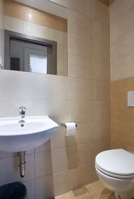 a bathroom with a sink and a toilet at TopApartmany in Prague