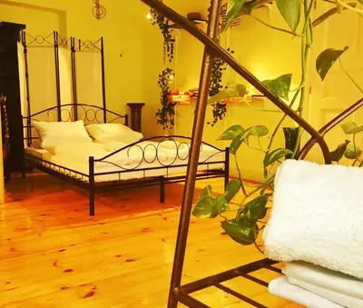 a room with a bed and a plant in it at Hostel HOMEr - Old Town Square in Prague