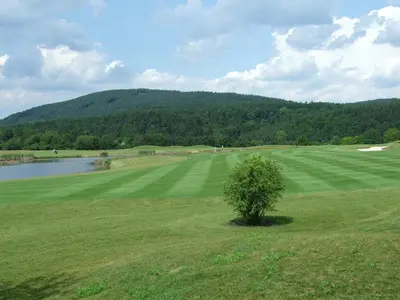 a tree sitting in the middle of a green field at Hotel Beroun Golf Club in Beroun