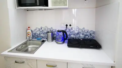 a kitchen counter with a sink and a microwave at Apartment Four Year Seasons - WALKABLE TO CENTRE, METRO AND RIVERSIDE in Prague