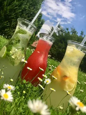 three cocktails sitting in the grass with flowers at Penzion V polích in Malé Číčovice