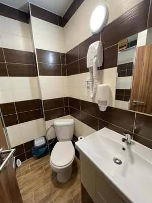a bathroom with a toilet and a sink at Hotel Max in Prague
