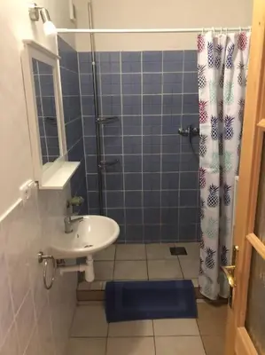 a bathroom with a sink and a shower at Bohemia Retreat in Neveklov
