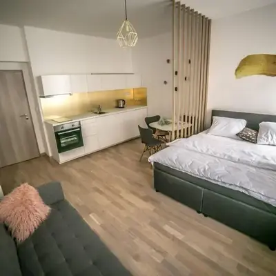 Prague friendly apartments in Prague