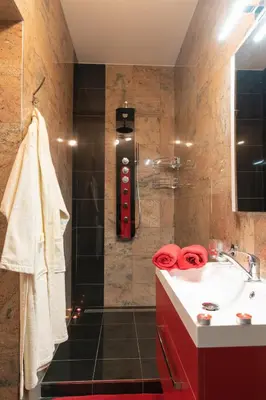 a bathroom with a sink and a shower at Romantický wellness suite hotel Heinz in Dobříš
