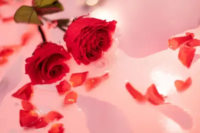 two red roses on top of a white cake at Romantický wellness suite hotel Heinz in Dobříš