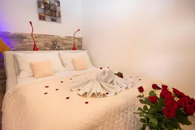 a bedroom with a bed with red roses on it at Romantický wellness suite hotel Heinz in Dobříš