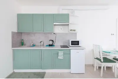 a kitchen with green cabinets and a sink at FREE PARKING IN GARAGE Karolina Plazza, new cosy studio with all you need in Prague