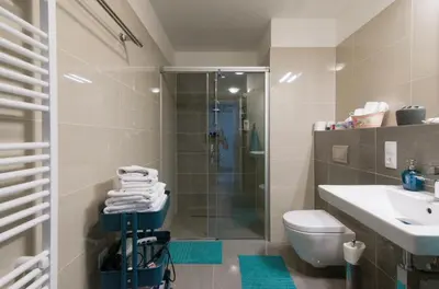 a bathroom with a shower and a toilet and a sink at FREE PARKING IN GARAGE Karolina Plazza, new cosy studio with all you need in Prague