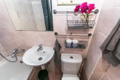 a bathroom with a white toilet and a sink at Apartments Grebovka in Prague