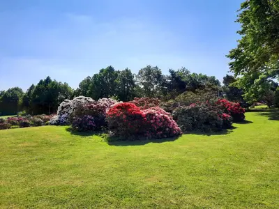 a row of colorful flowers in a grass field at Hotel Floret in Pruhonice
