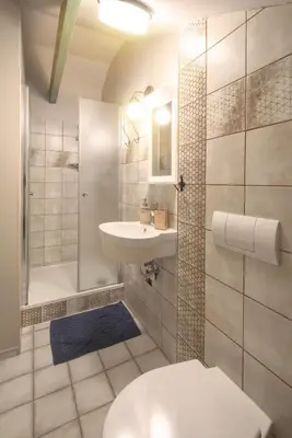 a bathroom with a toilet and a sink and a shower at Zelený statek in Bzová
