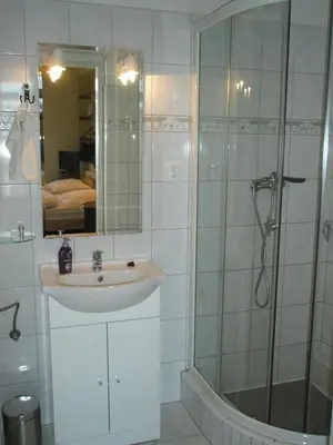 a bathroom with a sink and a shower with a mirror at Pension Kozel in Ricany