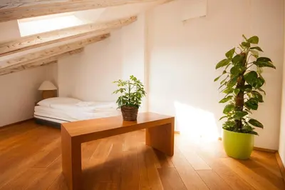 a room with a table and two potted plants at Kozna Loft in Prague