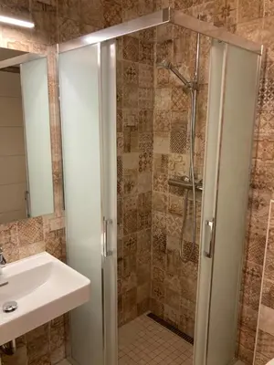 a bathroom with a shower and a sink at Penzion u Svatého Prokopa in Středokluky