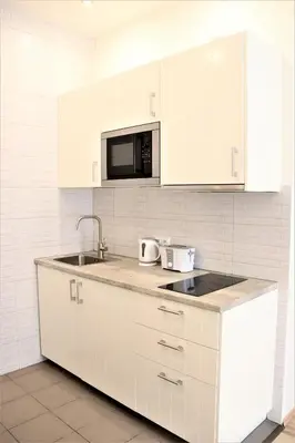 a white kitchen with a sink and a microwave at Flowers apartments in Prague