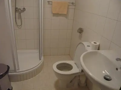 a bathroom with a toilet and a shower and a sink at Hotel Hasa in Prague