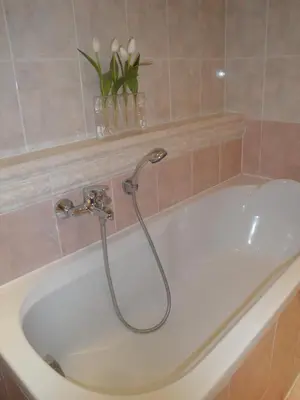 a bath tub with a shower in a bathroom at Pension Apartment Granit in Prague