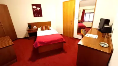 a hotel room with a bed with a red carpet at Hotel Baroko in Prague