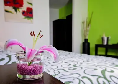 a pink flower in a glass vase on a table at Bona Serva in Prague
